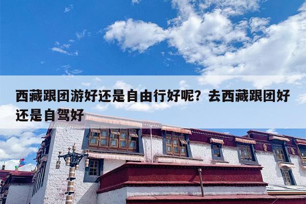 西藏跟团游好还是自由行好呢？去西藏跟团好还是自驾好