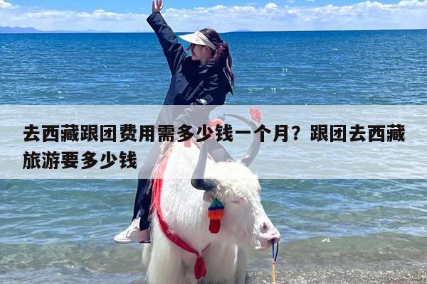 去西藏跟团费用需多少钱一个月？跟团去西藏旅游要多少钱