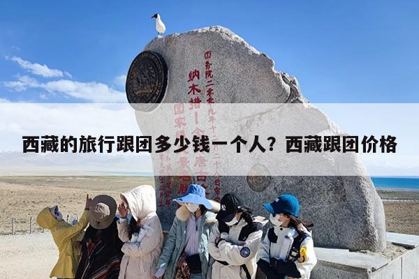 西藏的旅行跟团多少钱一个人？西藏跟团价格