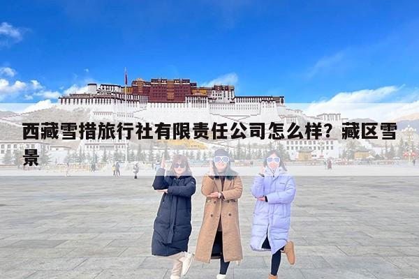 西藏雪措旅行社有限责任公司怎么样？藏区雪景