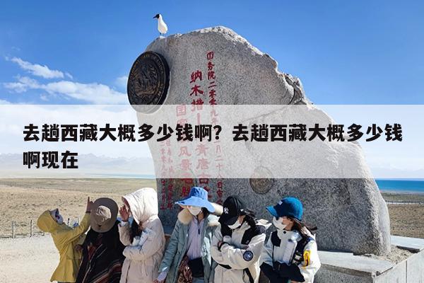去趟西藏大概多少钱啊？去趟西藏大概多少钱啊现在