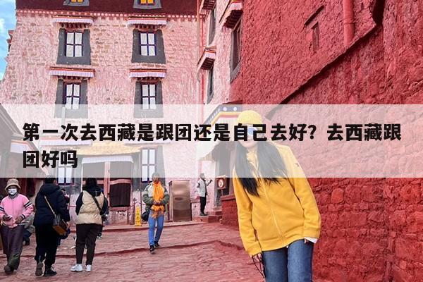 第一次去西藏是跟团还是自己去好？去西藏跟团好吗