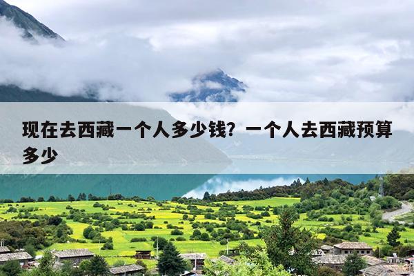 现在去西藏一个人多少钱？一个人去西藏预算多少