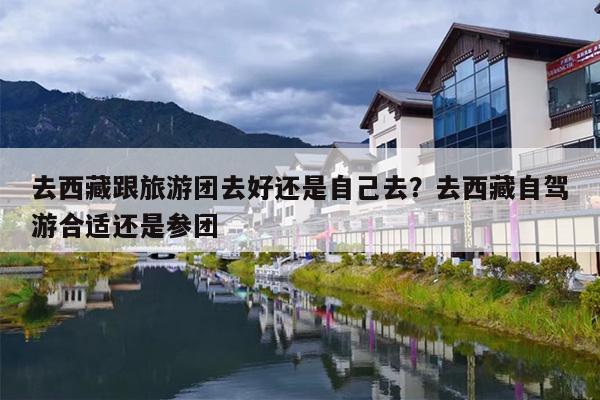去西藏跟旅游团去好还是自己去？去西藏自驾游合适还是参团