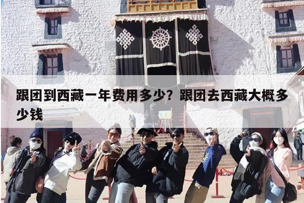 跟团到西藏一年费用多少？跟团去西藏大概多少钱