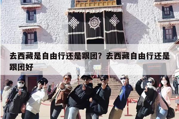 去西藏是自由行还是跟团？去西藏自由行还是跟团好