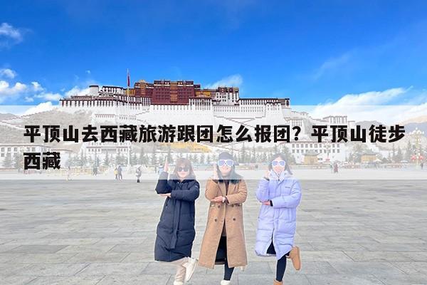 平顶山去西藏旅游跟团怎么报团？平顶山徒步西藏