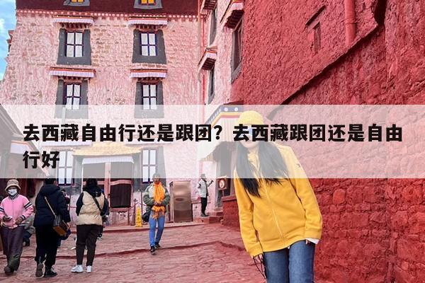 去西藏自由行还是跟团？去西藏跟团还是自由行好-第1张图片