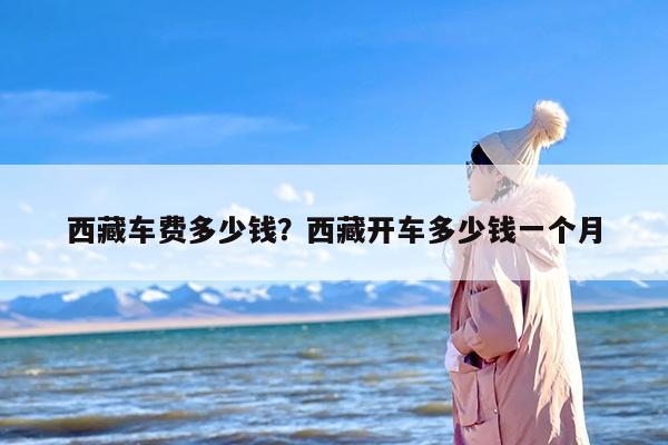 西藏车费多少钱？西藏开车多少钱一个月