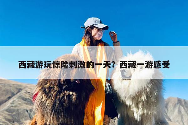 西藏游玩惊险刺激的一天？西藏一游感受