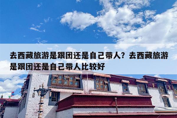 去西藏旅游是跟团还是自己带人？去西藏旅游是跟团还是自己带人比较好