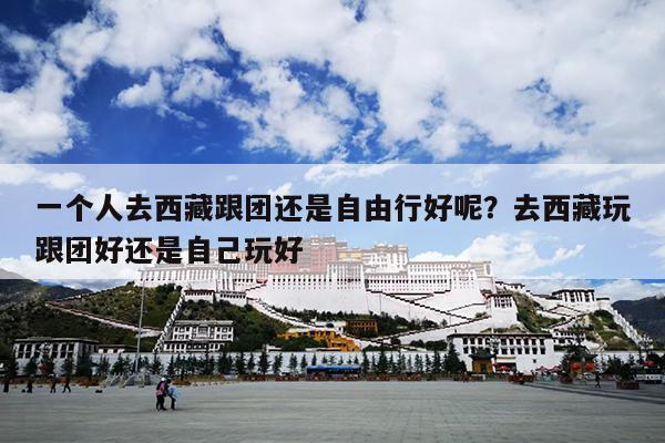 一个人去西藏跟团还是自由行好呢？去西藏玩跟团好还是自己玩好