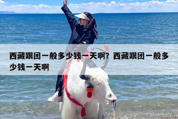 西藏跟团一般多少钱一天啊？西藏跟团一般多少钱一天啊