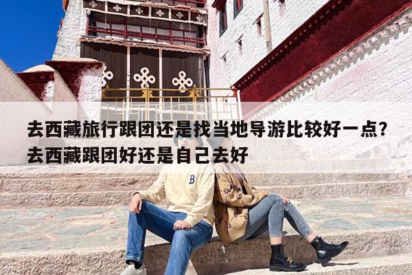 去西藏旅行跟团还是找当地导游比较好一点？去西藏跟团好还是自己去好