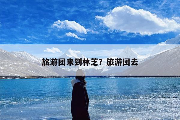 旅游团来到林芝？旅游团去
