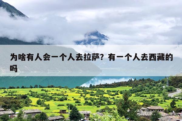 为啥有人会一个人去拉萨？有一个人去西藏的吗