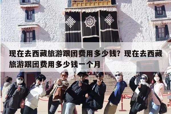 现在去西藏旅游跟团费用多少钱？现在去西藏旅游跟团费用多少钱一个月