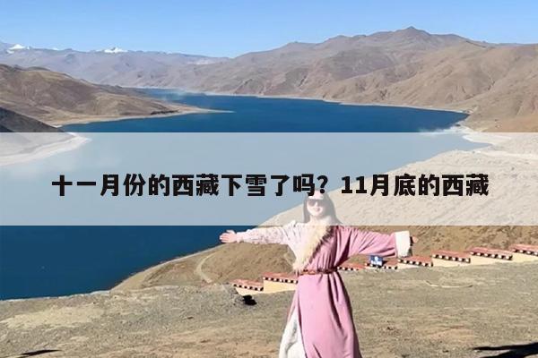 十一月份的西藏下雪了吗？11月底的西藏
