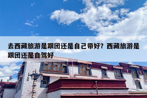 去西藏旅游是跟团还是自己带好？西藏旅游是跟团还是自驾好