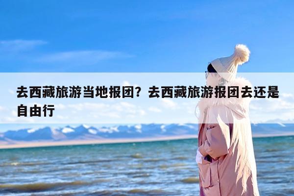 去西藏旅游当地报团？去西藏旅游报团去还是自由行