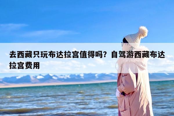 去西藏只玩布达拉宫值得吗？自驾游西藏布达拉宫费用