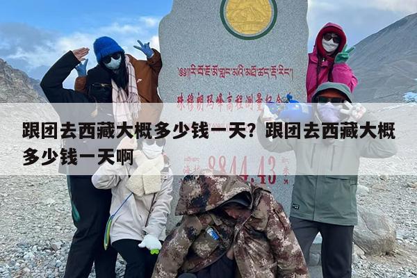 跟团去西藏大概多少钱一天？跟团去西藏大概多少钱一天啊