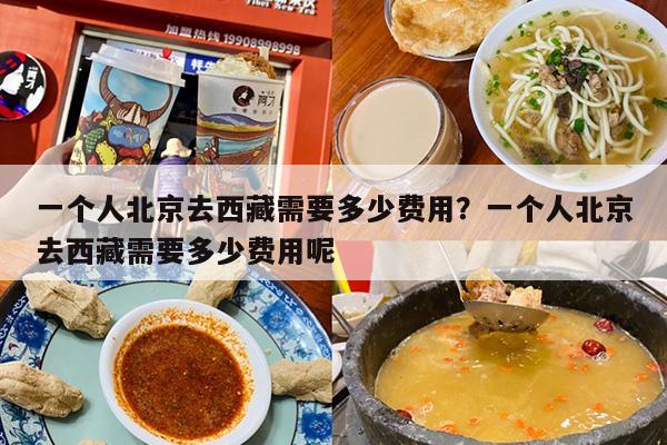 一个人北京去西藏需要多少费用？一个人北京去西藏需要多少费用呢