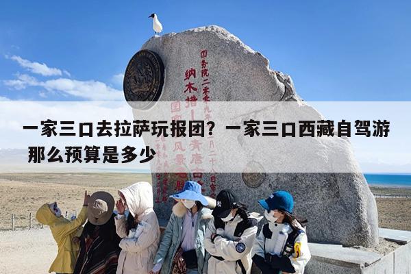 一家三口去拉萨玩报团？一家三口西藏自驾游 那么预算是多少