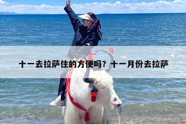 十一去拉萨住的方便吗？十一月份去拉萨