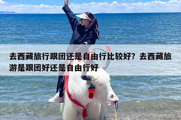 去西藏旅行跟团还是自由行比较好？去西藏旅游是跟团好还是自由行好