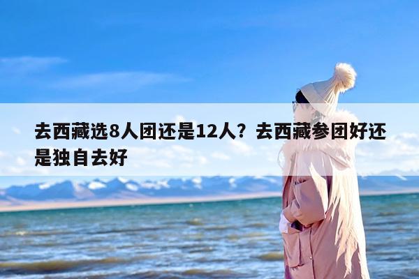 去西藏选8人团还是12人？去西藏参团好还是独自去好