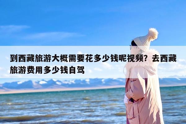 到西藏旅游大概需要花多少钱呢视频？去西藏旅游费用多少钱自驾