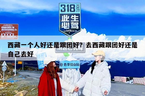 西藏一个人好还是跟团好？去西藏跟团好还是自己去好