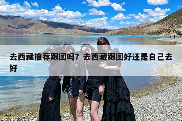 去西藏推荐跟团吗？去西藏跟团好还是自己去好