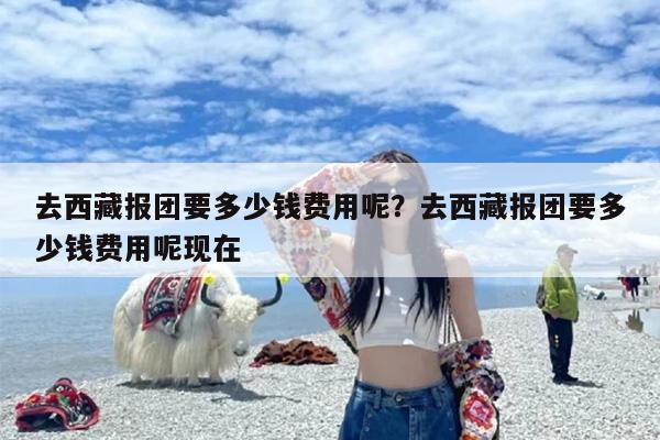 去西藏报团要多少钱费用呢？去西藏报团要多少钱费用呢现在