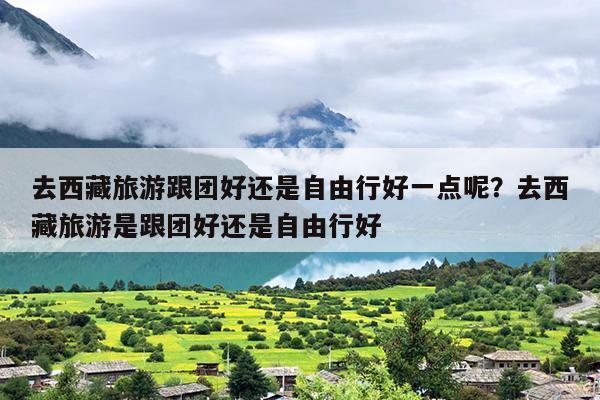 去西藏旅游跟团好还是自由行好一点呢？去西藏旅游是跟团好还是自由行好