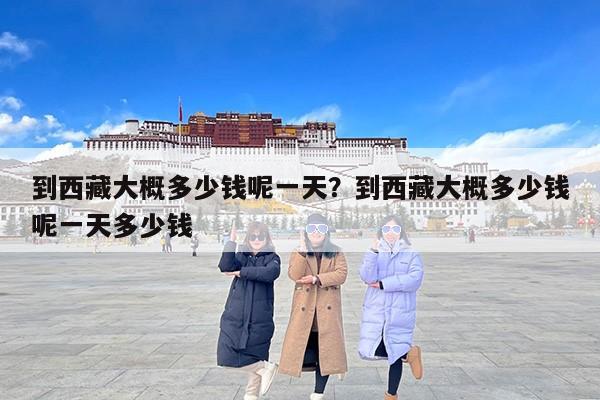 到西藏大概多少钱呢一天？到西藏大概多少钱呢一天多少钱