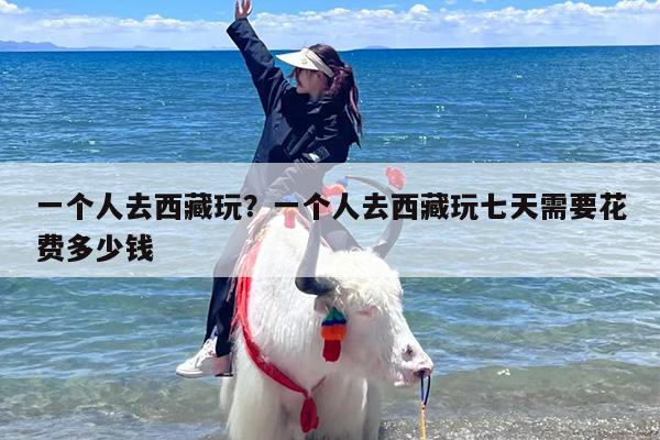 一个人去西藏玩？一个人去西藏玩七天需要花费多少钱
