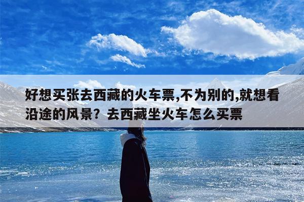 好想买张去西藏的火车票,不为别的,就想看沿途的风景？去西藏坐火车怎么买票