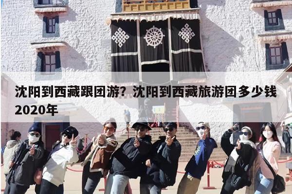 沈阳到西藏跟团游？沈阳到西藏旅游团多少钱2020年