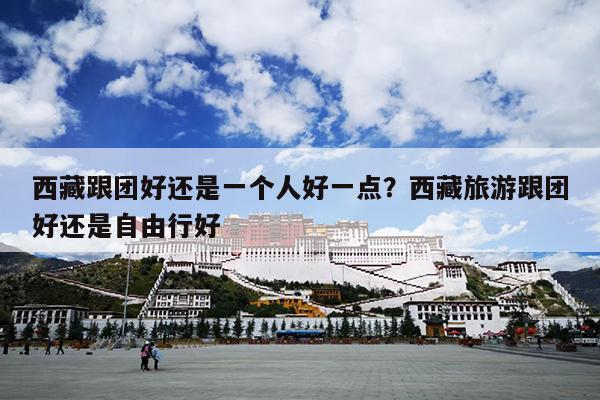 西藏跟团好还是一个人好一点？西藏旅游跟团好还是自由行好