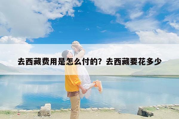 去西藏费用是怎么付的？去西藏要花多少
