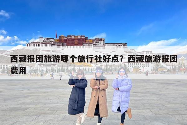 西藏报团旅游哪个旅行社好点？西藏旅游报团费用