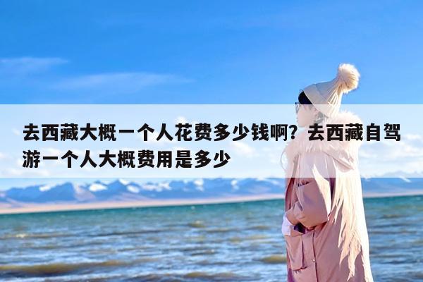 去西藏大概一个人花费多少钱啊？去西藏自驾游一个人大概费用是多少