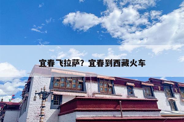 宜春飞拉萨？宜春到西藏火车