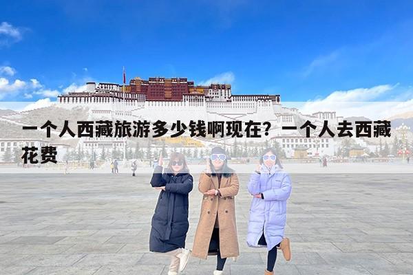 一个人西藏旅游多少钱啊现在？一个人去西藏花费