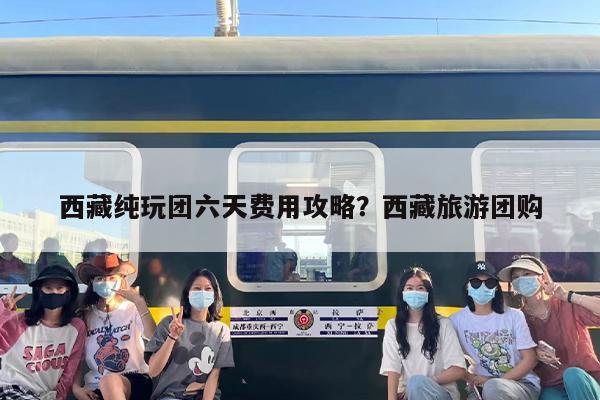 西藏纯玩团六天费用攻略？西藏旅游团购