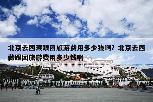 北京去西藏跟团旅游费用多少钱啊？北京去西藏跟团旅游费用多少钱啊