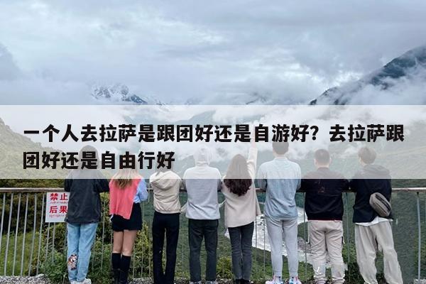 一个人去拉萨是跟团好还是自游好？去拉萨跟团好还是自由行好