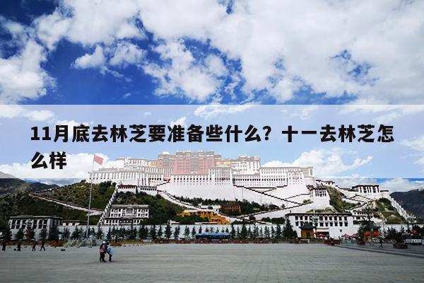 11月底去林芝要准备些什么？十一去林芝怎么样